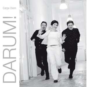 Nebel Fallen (Unplugged)