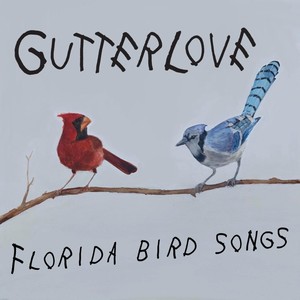 Florida Bird Songs (Explicit)