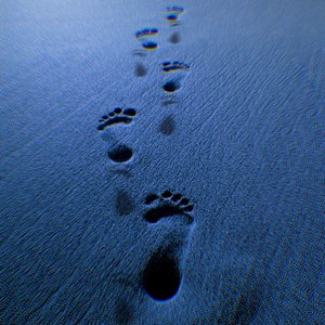 Walk like me (Explicit)