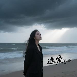逃爱 (DJ版)