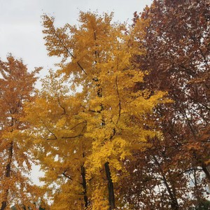 后来的我们什么都有了,却没有了我们。