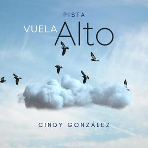 Vuela Alto (Pista)