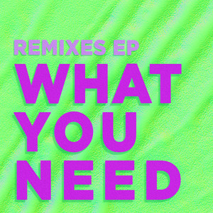 What You Need (Remixes)