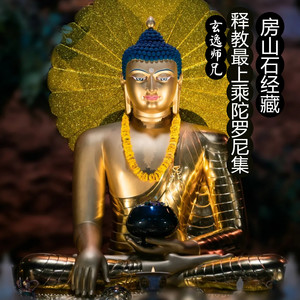 28-02大身櫱噜拏王止恶风雨金刚觜光焰睒电陀罗尼-玄逸师兄