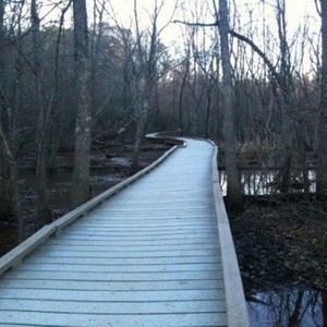 life gets repetitive