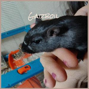 Garboil