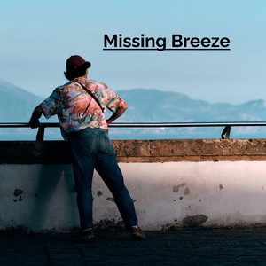 Missing Breeze