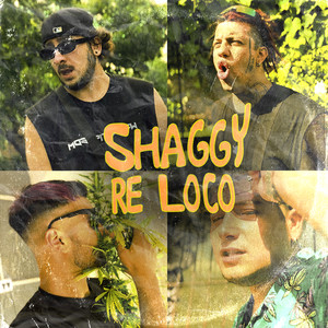 SHAGGY RE LOCO (Explicit)