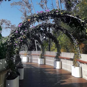 淡水河畔（轻音乐治愈钢琴曲）