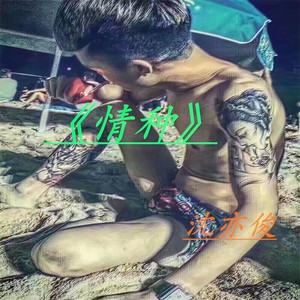 我也想要当网红2