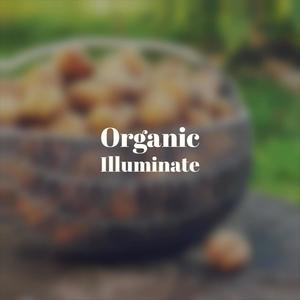 Organic Illuminate