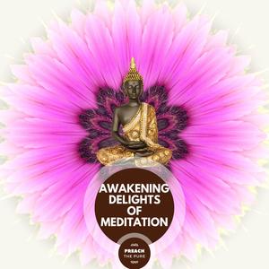 Tibetan Delight (Meditating Mood) (Original Mix)