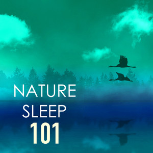 Nature Sleep 101 - Pillow Sounds for Deep Relaxation, Ocean, Rain Relaxing Ambience