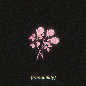 tranquillity