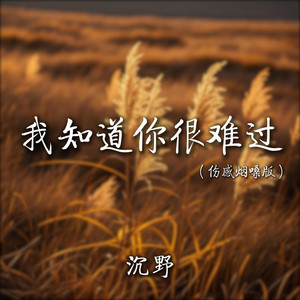 我知道你很难过 (伤感烟嗓版)