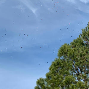 Flowers (feat. TRAJ)