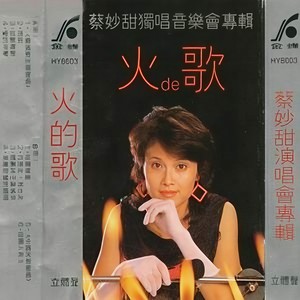 电视剧主题联唱:青春之火/自从我走进世界/珠江的浪花/青春烙印/怒火萍踪/济公活佛/上海滩/铁血丹心