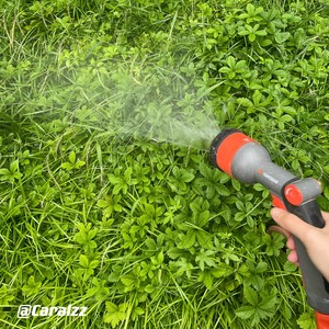 今天阳光天气正好