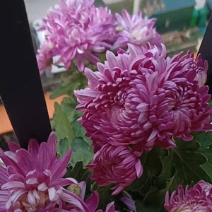 世界那么大还是遇见你