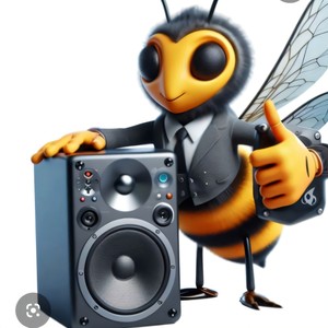 InDaBooth (Bumpin Like a Bee Sting) (Edit)