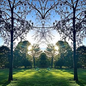 difference (feat. d1v) (Explicit)