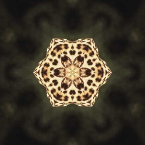 Mobutu Fashion Killa