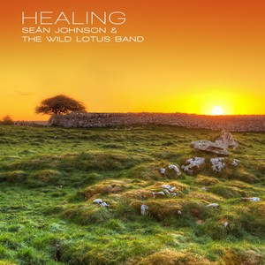 Healing (Brigid)