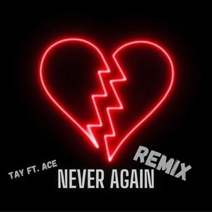 Never Again (feat. NoAce) [Remix] [Explicit]