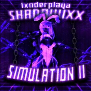 SIMULATION 2 (Explicit)