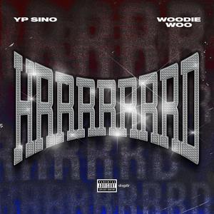 HRRRRRRRD (feat. Woodie Woo) [Explicit]