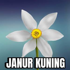 JANUR KUNING