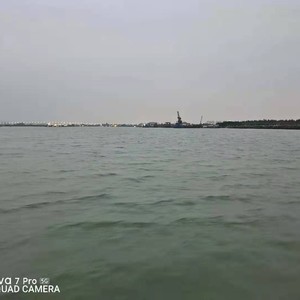 干物女 (remix: 锤子|Remix)