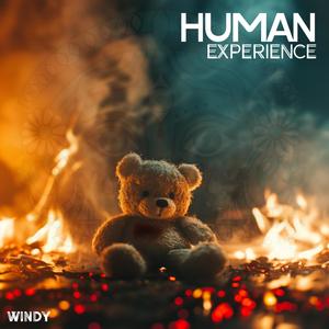 Human Experience (Explicit)
