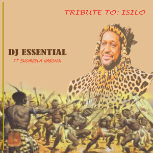 Tribute to Isilo