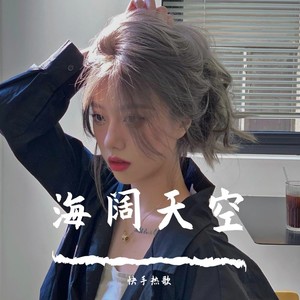 混的人 (DJ版)