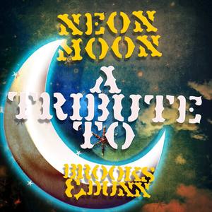 neon moon: a tribute to brooks & dunn