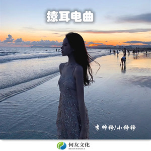 李帅铮 - 撩耳电曲