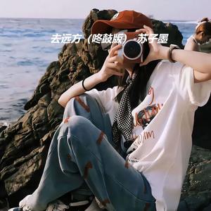 去远方