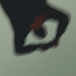 Sometime :: Pvt Wit Gvng (Explicit)
