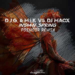 Indian Spring (POINoir Remix)