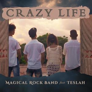 Crazy Life (feat. Teslah)