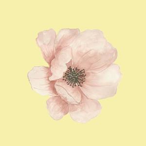 我要开单！！（rnb beat）