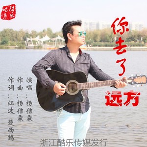 你去了远方 (吉他版)