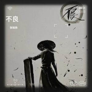 不良