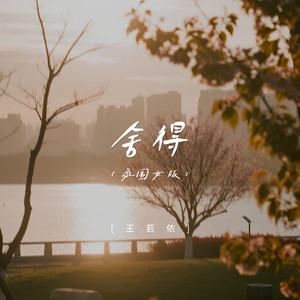 舍得 (氛围女版)