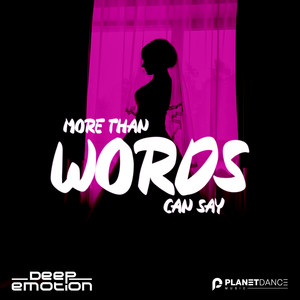 More Than Words Can Say (Extended Mix)