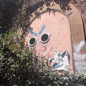 brain fog (Explicit)