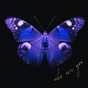 WHO ARE YOU (feat. Kashcpt)