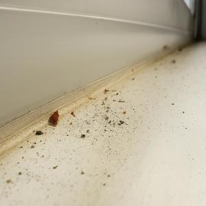 Don't Stress (feat. Mr. KE4)