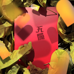 红日记本